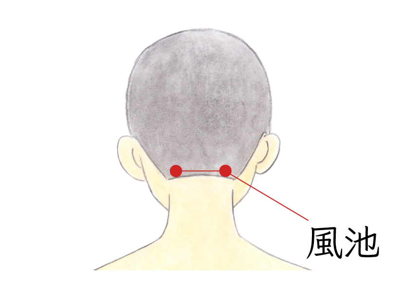 風池（ふうち）のツボ